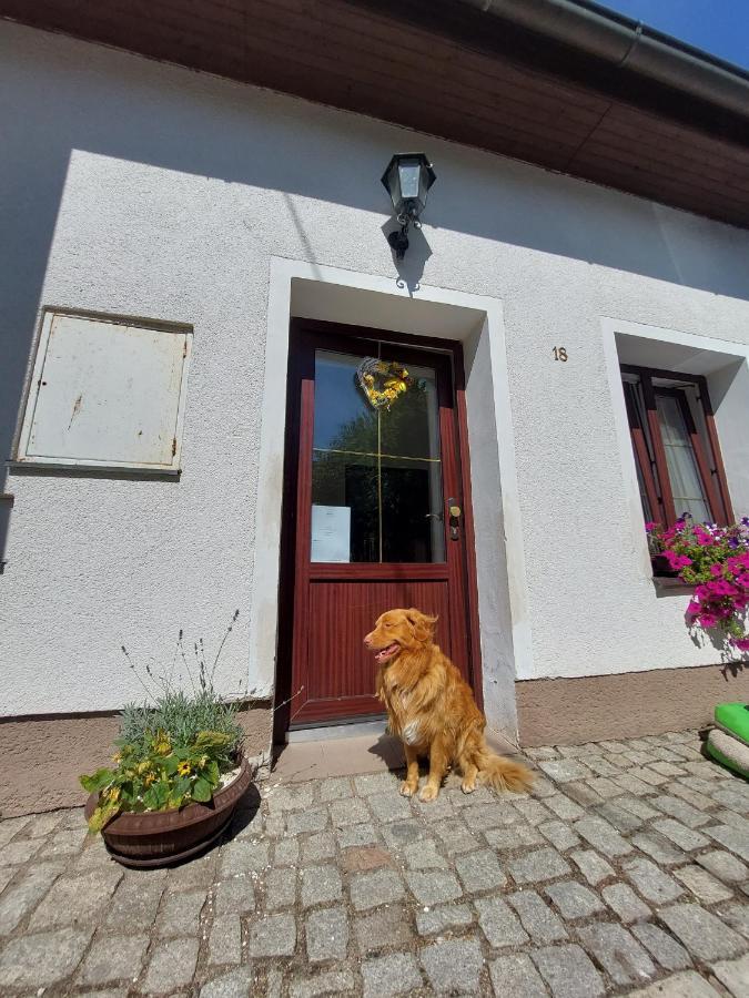 Penzion Na Vysluni Strasin Bagian luar foto