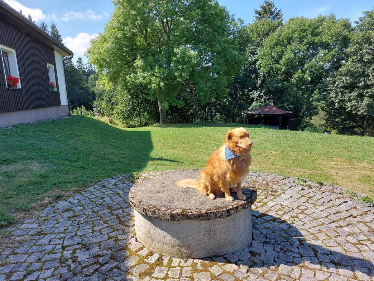 Penzion Na Vysluni Strasin Bagian luar foto