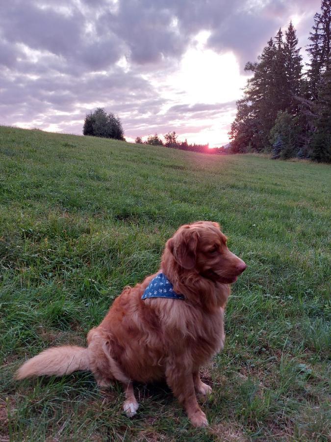 Penzion Na Vysluni Strasin Bagian luar foto