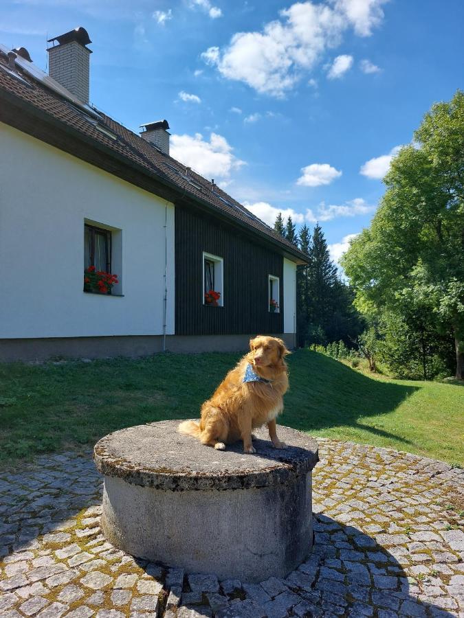 Penzion Na Vysluni Strasin Bagian luar foto