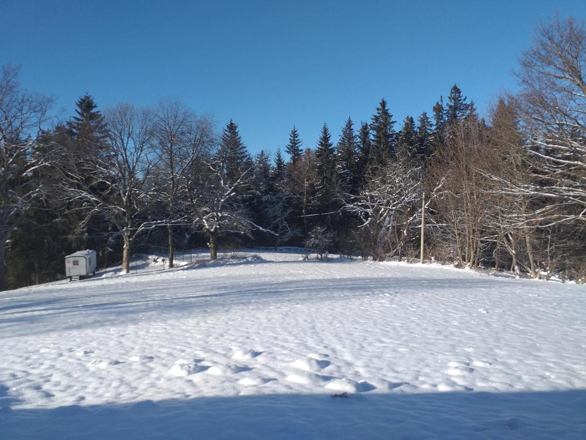 Penzion Na Vysluni Strasin Bagian luar foto